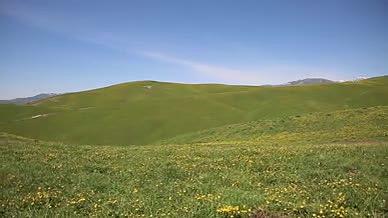新疆伊犁大草原夏季视频素材A1视频的预览图